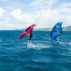 Fly Wing – Image 5